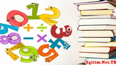 12 ve 15 Sayılarının EBOB ve EKOK’u Nedir?