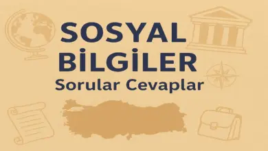 6. Sınıf Sosyal Bilgiler 1. Ders Kitabı Sayfa 163 Cevapları Meb Yayınları