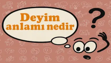Sevgi beslemek, Sevgi seli, Gözü gibi bakmak deyimleri ile ne anlatılmak istenmiştir?