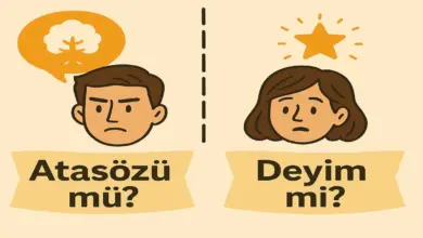 Temizlikle ilgili bir atasözü ve bir deyim bularak yazınız