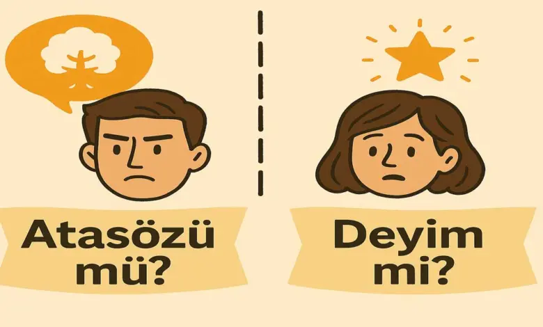 Temizlikle ilgili bir atasözü ve bir deyim bularak yazınız