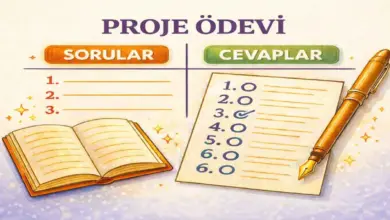 10. Sınıf Matematik Ders Kitabı Sayfa 304 Cevapları Meb Yayınları