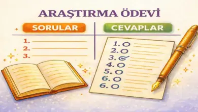 10. Sınıf Matematik Ders Kitabı Sayfa 335 Cevapları Meb Yayınları