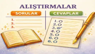 10. Sınıf Matematik Ders Kitabı Sayfa 305 Cevapları Meb Yayınları