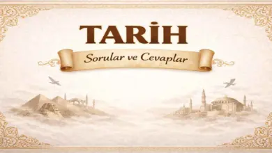 10. Sınıf Meb Tarih Ders Kitabı Sayfa 237 Cevapları