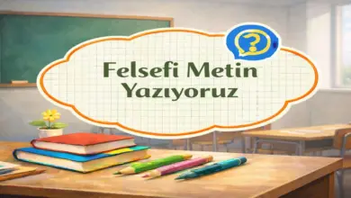 11. Sınıf Felsefe Ders Kitabı Sayfa 46 Cevapları Hisar Yayınları