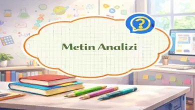 11. Sınıf Felsefe Ders Kitabı Sayfa 41 Cevapları Hisar Yayınları
