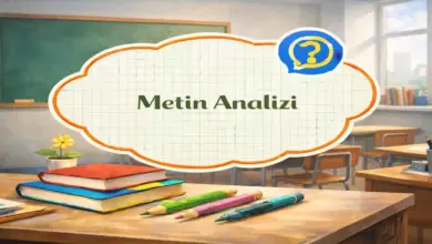 11. Sınıf Felsefe Ders Kitabı Sayfa 43 Cevapları Hisar Yayınları