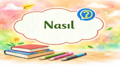 Sizce ideal bir hukuk sistemi nasıl olmalıdır?