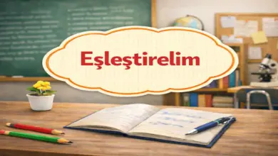 6. Sınıf Din Kültürü Ders Kitabı Sayfa 115 Cevapları Meb Yayınları