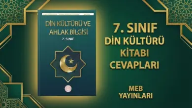 7. Sınıf Din Kültürü Ders Kitabı Cevapları MEB Yayınları (2025-2026)