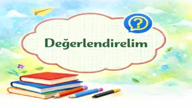 9. Sınıf Tarih Ders Kitabı Sayfa 183 Cevapları Meb Yayınları