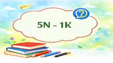 9. Sınıf Tarih Ders Kitabı Sayfa 206-207 Cevapları Meb Yayınları