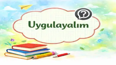 9. Sınıf Tarih Ders Kitabı Sayfa 211 Cevapları Meb Yayınları
