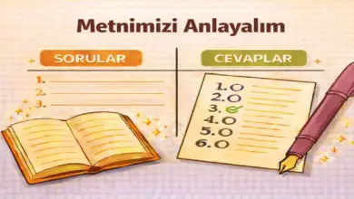 9. Sınıf Edebiyat Ders Kitabı Sayfa 201 Cevapları Meb Yayınları