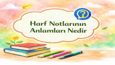 AÖF Harf Notlarının Anlamları Nedir?