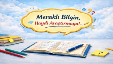 Ağaçların yaşları nasıl anlaşılır?