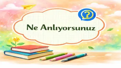 Allah (cc) insana kaldıramayacağı yük yüklemez sözünden ne anlıyorsunuz?