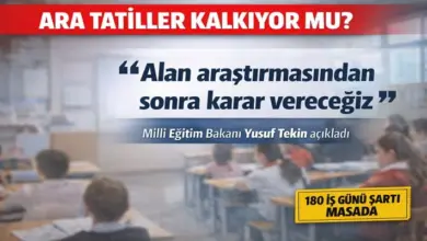 Ara Tatiller Kalkacak mı? Bakan Tekin’den Alan Araştırması Açıklaması