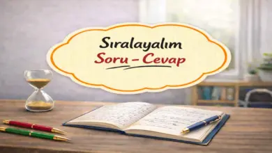 Fidan dikme asamalarını belirleyerek sırasıyla yazınız