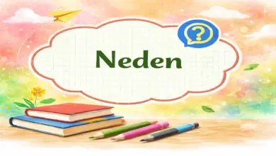 Hukukun olmadığı, kanunların uygulanmadığı bir toplumsal hayat sizce mümkün müdür? Neden?
