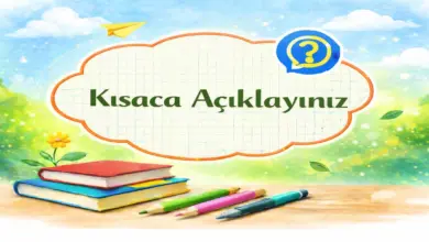 İslam hukukunun mahiyetini kısaca açıklayınız
