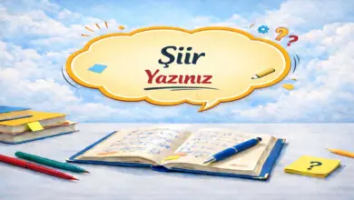 Orman konulu siir ve sarkılardan bildiklerinizi paylasınız