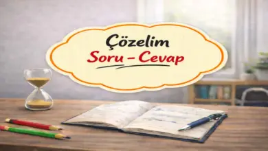 Ortaokul Temel Dini Bilgiler İslam 2 Ders Kitabı Sayfa 22 Cevapları MEB Yayınları