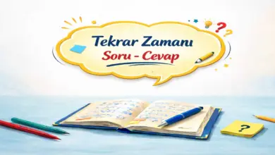 2. Sınıf Hayat Bilgisi 2. Ders Kitabı Sayfa 84-87 Cevapları Meb Yayınları