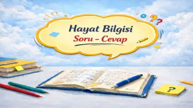 2. Sınıf Hayat Bilgisi 2. Ders Kitabı Sayfa 38-43 Cevapları Meb Yayınları