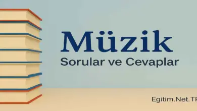 5. Sınıf Müzik Ders Kitabı Sayfa 46 Cevapları Meb Yayınları