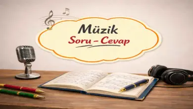 5. Sınıf Müzik Ders Kitabı Sayfa 47 Cevapları Meb Yayınları
