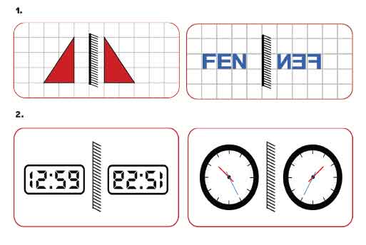 6-sinif-fen-159.jpg
