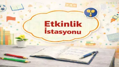 6. Sınıf Fen Bilimleri 1. Ders Kitabı Sayfa 163 Cevapları Meb Yayınları