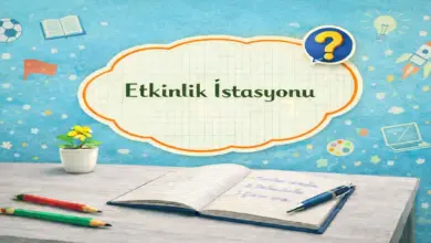 6. Sınıf Fen Bilimleri 1. Ders Kitabı Sayfa 164 Cevapları Meb Yayınları