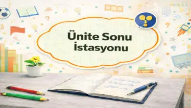 6. Sınıf Fen Bilimleri 1. Ders Kitabı Sayfa 179-181 Cevapları Meb Yayınları