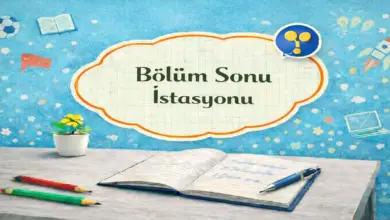6. Sınıf Fen Bilimleri 2. Ders Kitabı Sayfa 25 Cevapları Meb Yayınları