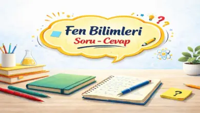 Bir kaptaki su, uzun süre kaynarsa azalır, kabın içindeki su nereye gitmiş olabilir?