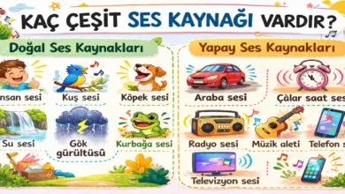 Kaç çeşit ses kaynağı vardır? Bunlara ikişer örnek vererek aşağıya yazınız