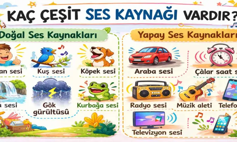 Kaç çeşit ses kaynağı vardır? Bunlara ikişer örnek vererek aşağıya yazınız