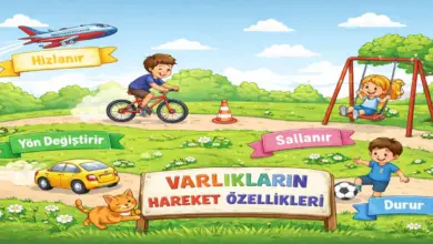 Varlıkların hareket özellikleri nelerdir?