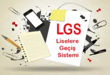 LGS’de Tarihi Zafer! 2025'te 719 Öğrenci Tüm Soruları Doğru Yaptı