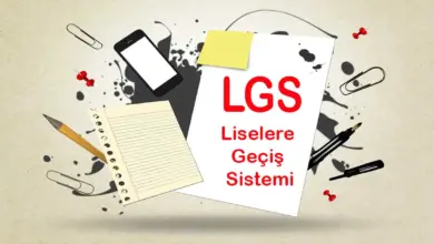 LGS’de Tarihi Zafer! 2025'te 719 Öğrenci Tüm Soruları Doğru Yaptı