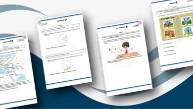 MEB 9 ve 10. Sınıflar İçin 2. Dönem 2. Yazılı Örnek Sorularını Yayımladı