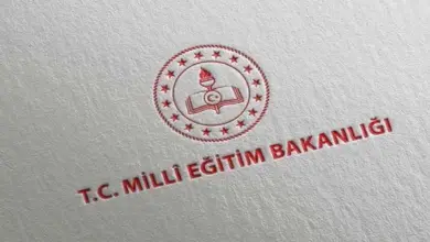 LGS 2025 Sonuçları Açıklandı! Nakil Takvimi, Tercih Oranları ve Yerleştirme Verileri